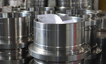 普蘭店雙端麵機械密封失效分析的原因